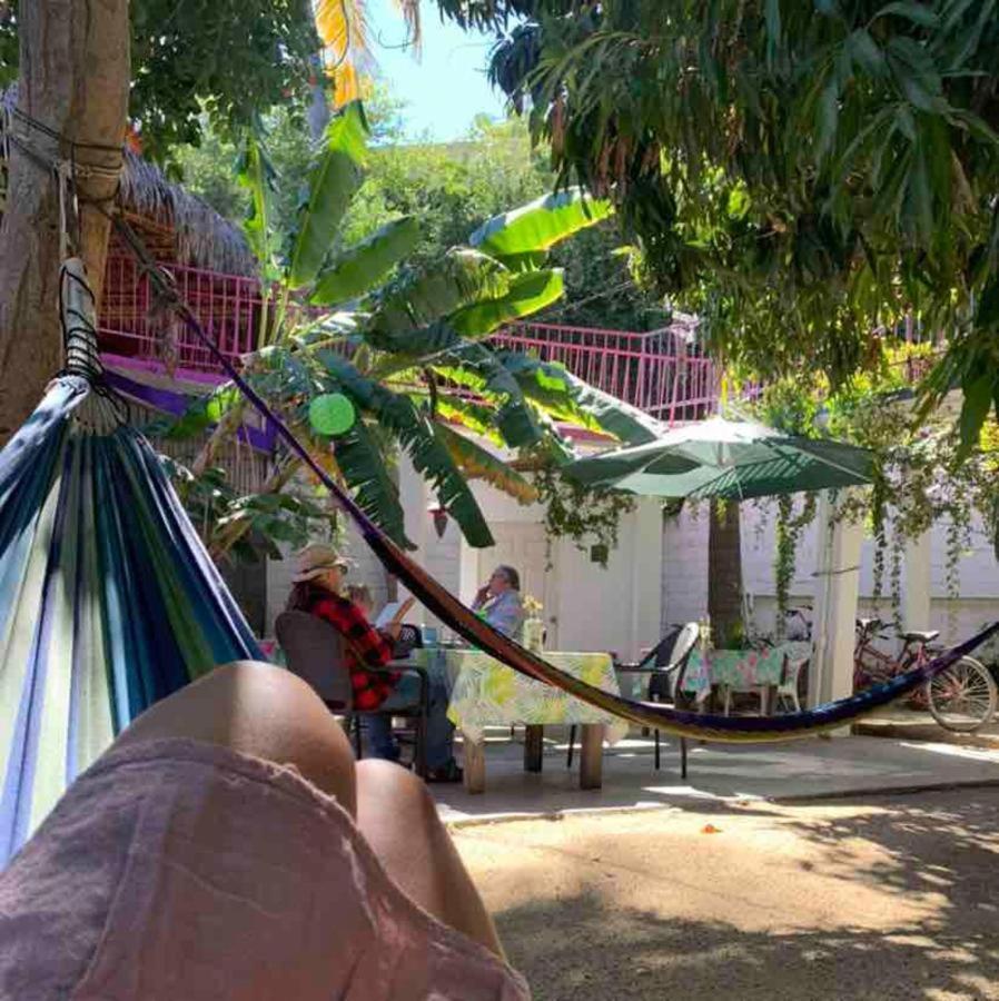 Hotel Posada Senor Manana San Jose del Cabo Exterior photo